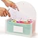 H4D Check Size 13 Pocket Expanding File Folder, Accordion File Organizer Wallet Case for Coupon Receipt Storage, 10 x 5.5 inches, Rainbow Color