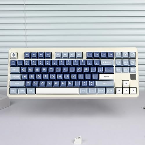 Amazon.co.jp: 2色キーキャップセット、160キー/ABS/SAプロファイル