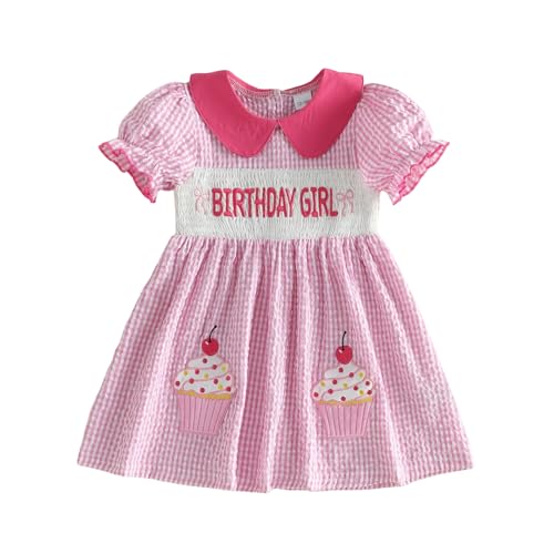 First 2nd 3rd 4th 5th Birthday Outfit Girl Smocked Birthday Dress Toddler B Day Outfits for Girls (Cake Birthday Girl Pink 2-3 Years)