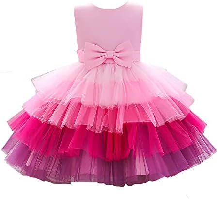 Flower Baby Girl Lace Dress Toddler Tulle Sleeveless Bow Princess Party Wedding Pageant Bridesmaid (Pink.4-5 T)