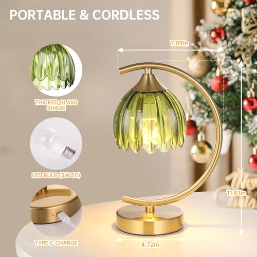 Shenmoyl Set of 2 Tulip Table Lamp, 5200mAh Cordless Touch Control Table Lamp with 3 Color Temps & Stepless Dimming, Rechargeable Battery Table Lamp for Living Room, Bedroom, Office(Green Tulip) by Shenmoyl - Used condition - Image 7