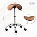 OmySalon Saddle Stool Rolling Chair, Ergonomic Saddle Chair with Swivel Wheels, Adjustable Hydraulic Stylist Cutting Stool for Salon Tattoo Massage Office Medical, Brown