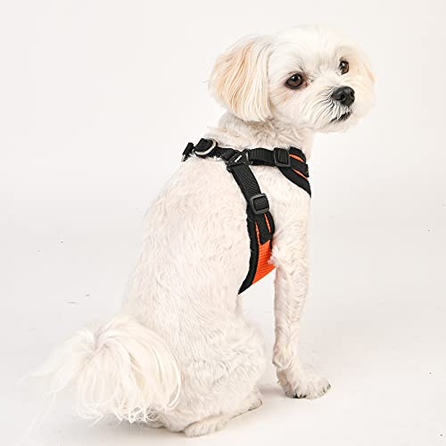 Image of Puppia Dog Harness Comfort Mesh Step-in All Season No Pull No Choke Walking Training Adjustable Neck & Chest for Small & Medium Dog - Orange - XL
