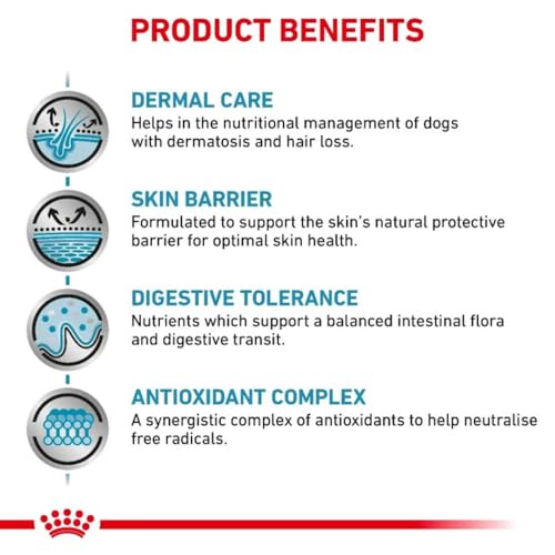 ROYAL CANIN Skin Care Hund (SK 23) 11 kg