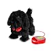 MEVA PawPals Kids Walking and Barking Puppy Dog Toy Pet with Remote Control Leash ... (Black)