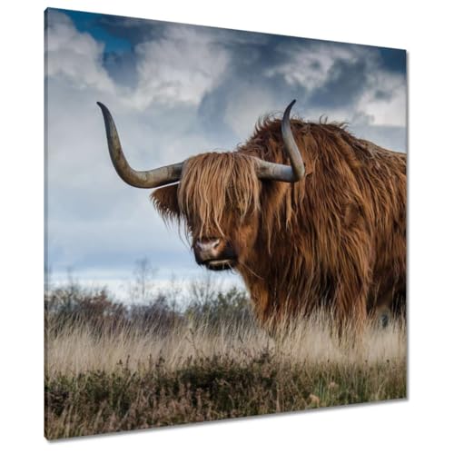 Peinture imprimée sur toile Bovins des Highlands écossais 90x90cm