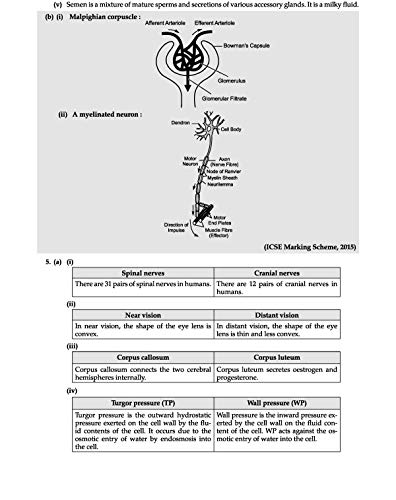Image of Oswaal ICSE Sample Question Papers Class 10 Biology Book (For March 2020 Exam)