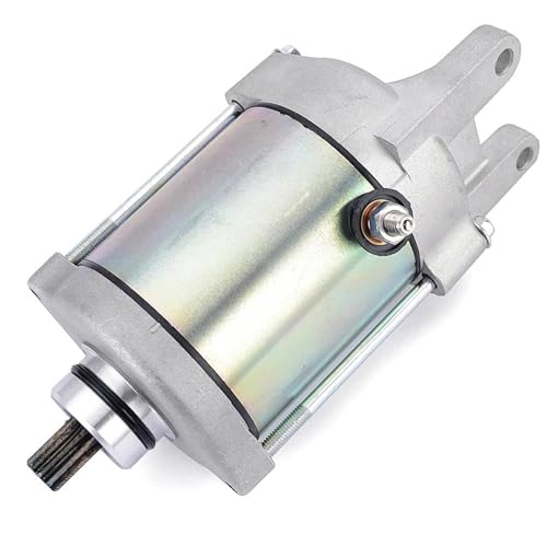 X^[^[[^[ ɓKATV p ɓKKVF300 u[gtH[X 300 2012 2013 2014 2015 2016 2017 2018 2019 2020 2021 2022 2023 2024