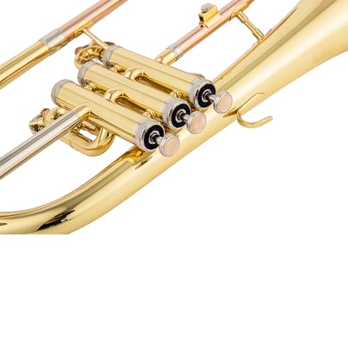 AUROSUS FH-8355 Bb Flugelhorn Messing Flügelhorn Instrument mit Trigger 3 Ventilen und 152mm Schallbecher Inklusive Mundstück und Leichtkoffer Klarlackiertes Bb Flugelhorns für Jazz und Klassik