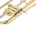 AUROSUS Flugelhorns brass Bell Bow High gloss finish (AFH-8355)