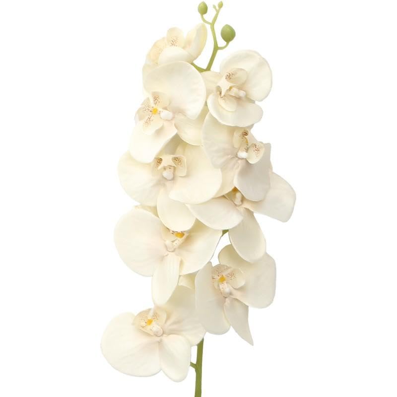 Branches d'orchidées artificielles crème DRW pour une décoration de salon zen
