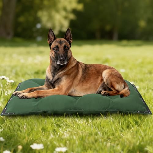 HOMBYS Durable Canvas Outdoor Dog Bed with Metal Rivets, 35" x 22" Water Resistant & Heavy-Duty Tough Pet Bed, Ideal for Medium/Large Dogs Indoor, Crate, Patio Use, Green