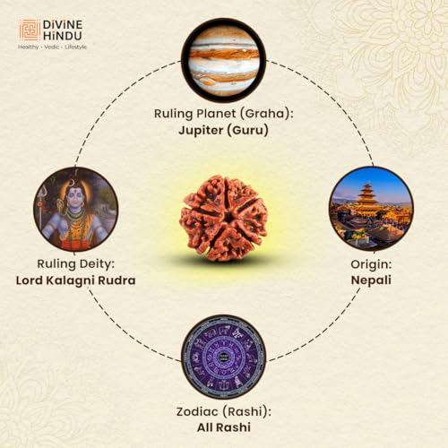 Image of Divine Hindu Original 5 Mukhi (Five Face) Indonesia Rudraksha |Panch Mukhi Rudraksh Bead for Meditation, Protection & Spiritual Growth | Natural Rudraksha for Men & Women | Prayer Bead for Success