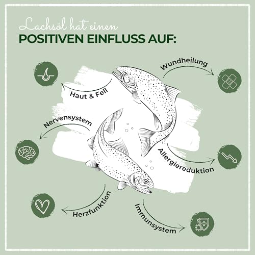 LaPura Lachsöl für Hunde, Katzen & Pferde - 100% Natur, mit Omega-3 & Omega-6 für Haut- & Fellpflege, Immunsystem, Beweglichkeit, Barf Öl ohne Zusätze, Premium Fischöl 250 ml