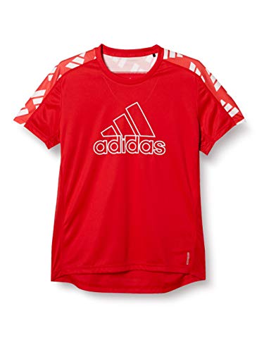 ランニング 半袖 Tシャツ オウン ザ ラン セレブレーション 半袖Tシャツ 25298 メンズ スカーレット/ホワイト 日本サイズS相当