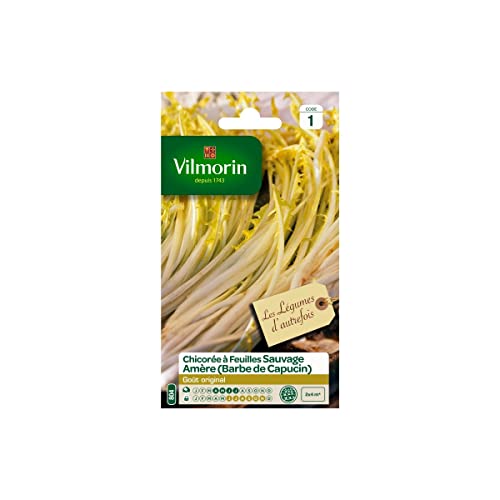 Vilmorin - Sachet graines Chicorée à feuilles sauvage Amère Barbe de capucin