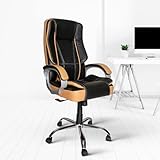 The 10 Best Ergonomic Chair to Make Work from Home Easy Going 4 CELLBELL® Watson C102 High Back Boss Chair for...