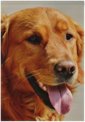 BlueViper Smiling Golden Retriever Dog Pet Garden Flag Banner 12 x 18 Inch Decorative Garden Flag for Outdoor Lawn and Garden Home Décor Double-Sided