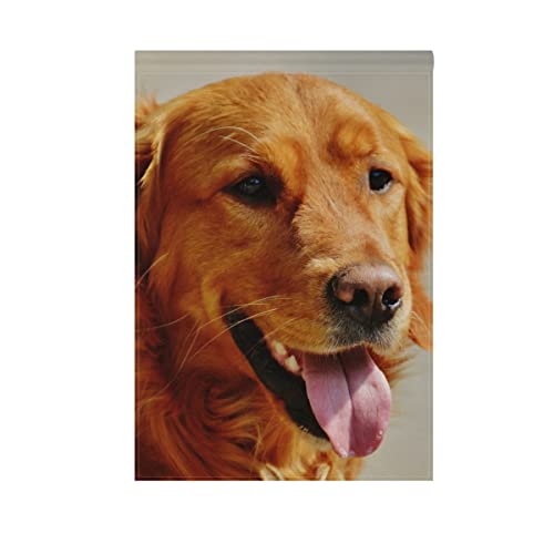 Blueviper Smiling Golden Retriever Dog Pet Garden Flag Banner 12 X 18 Inch Decorative Garden Flag For Outdoor Lawn And Garden Home Décor Double-Sided #TOP3
