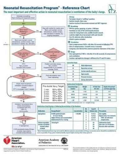 NRP Code Cart Card, 2016 (Pack of 5) : Pediatrics, American Academy of ...