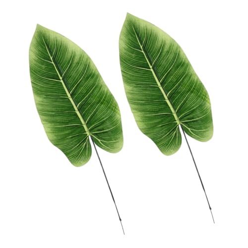 TENDYCOCO 2 k?^tqA _X`[st ϋvtFCN[t O[CeA  Lb` p[eB[pO[fR