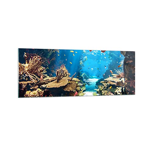 Moderne Impression sur Verre Océan Récif Poissons Corail Image Tableau en Verre Decoration Murale 140x50cm Deco Cadre Salon Chambre Panoramique Grand XXL Tableaux Decoratifs Muraux Art GAB140x50-2872
