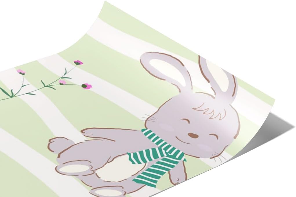 Rwraps Rabbit Pleasant Company Gloss Vinyl Film Wrap 59in x 29ft Vinyl Vehicle Car Film Sheet Roll