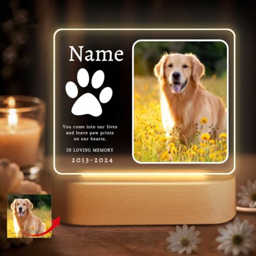 18 Meaningful Gifts For Someone Who Lost A Cat In 2026 15 Personalized Pet Memorial LED Photo Frame