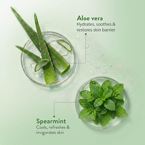 Image of Ayouthveda Aloe vera Soap with Aloe Extracts & Menthol for Gentle Cleansing, Hydration & Skin Comfort | Helps Soothe Irritation, Improve Texture & Maintain Moisture Balance | Refreshing, Non-Drying & Daily Use Bathing Bar | Suitable for Face & Body | 100g (Pack of 4)