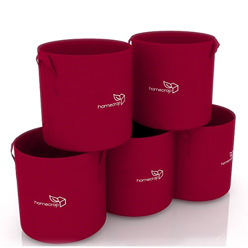 homecrop Fabric Grow Bag, (10 x 10 inch) - Set...