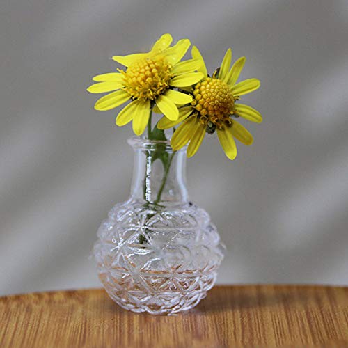 RIsxfh122 - Vaso in miniatura per casa delle