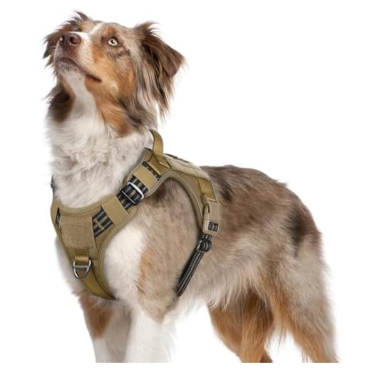 rabbitgoo Tactical Dog Harness No Pull, Military Dog Vest Harness with Handle & Molle, Easy Control Service Dog Harness for Medium Dogs Training Walking, Adjustable Reflective Pet Harness, Brown, M