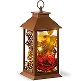 National Tree Company Harvest Lantern with LED Lights, Filled with Pumpkins, Leaves, Flowers, Berry Clusters, 12 inches