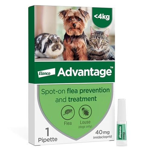 Advantage Spot On Flea Treatment For Cats Dogs and Rabbits Under 4kg (1 pipette 40mg) Kills Fleas Within 24 Hours Prevents Further Infestation For Up To Four Weeks in Cats and Dogs