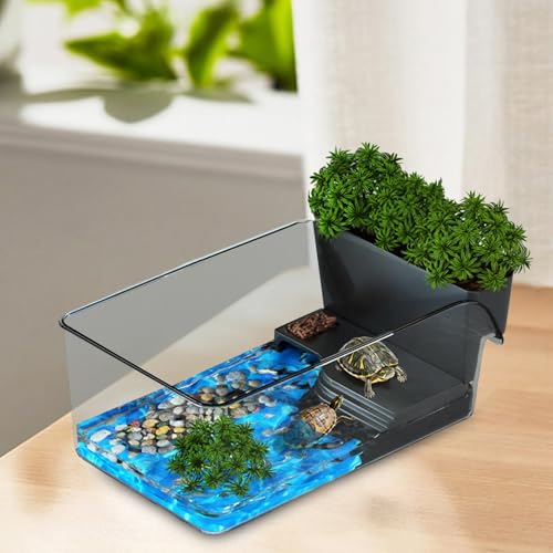 Boîte d'élevage pour reptiles d'eau douce avec zone de bronzage noir