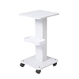 Salon Spa Trolley, Esthetician Cart with Wheels, Beauty Rolling Trolley Stand Instrument, Tray Rolling Cart with Storage Tray