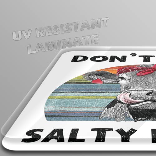 Don't Be A Salty Heifer Cute Cow (2 Pack) Vinyl Decal Sticker - Car Truck Van Suv Window Wall Cup Laptop - Two 5 Inch Decals - Mks2101 #TOP2