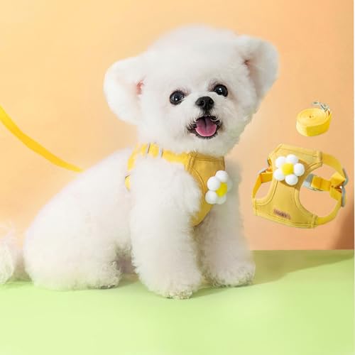 pn[lX obNpbN L[g pxXg n[lXƃ[VZbg iq \tgbV ԕ pn[lX ߉\ȗsp[Vt q ^ ^ ^(LACG[t[)