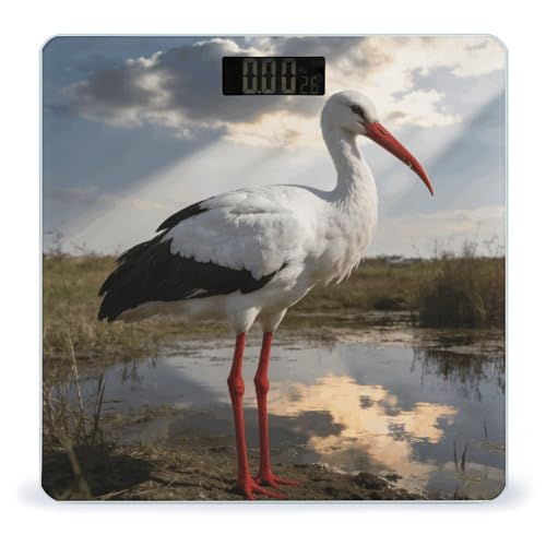 Báscula Stork para peso corporal con vidrio templado miniatura 1