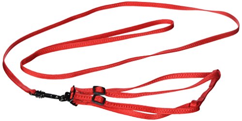 Unbekannt Home 5125 - Juego de Accesorios para Animales pequeños