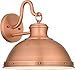 Quoizel JAM8412AC Jameson Outdoor Wall Sconce, 1-Light 100 Watts, Aged Copper