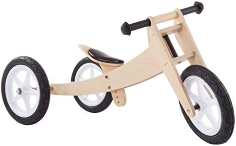Beginner Tricycle Convertible Ride On 