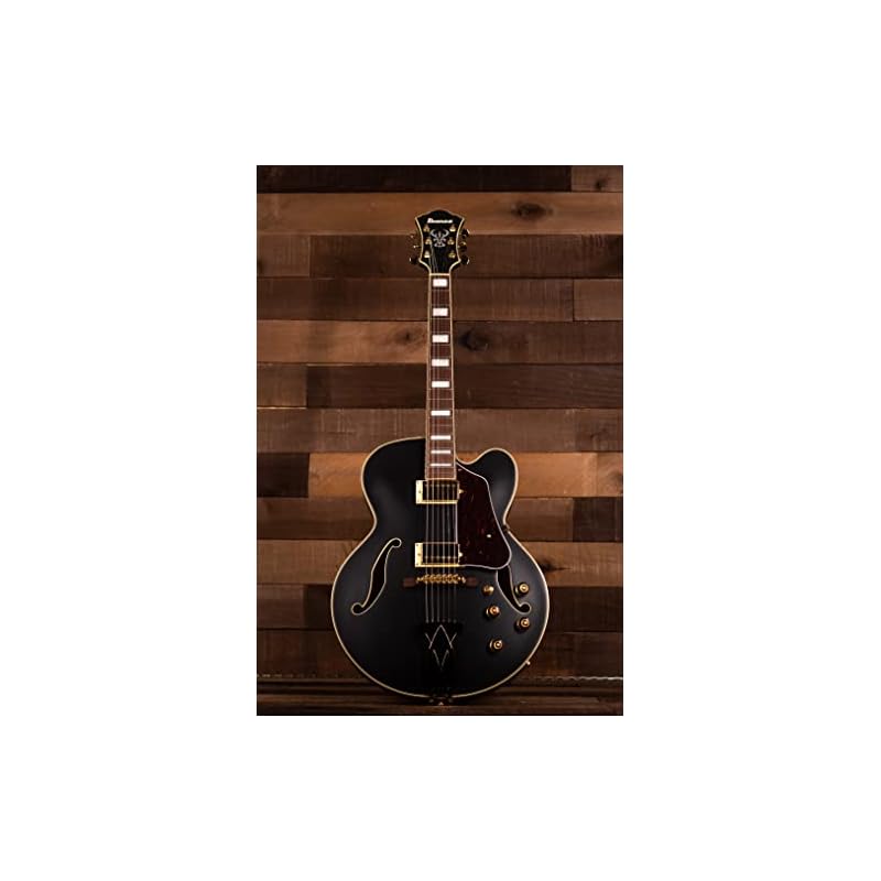 Semi Hollow Guitars Buy Ibanez AF75G BKF Artcore - Black