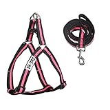 Dog Leash Harness- ColPet Adjustable and Heavy Duty Durable Neoprene Dog Leash Collar with Elastic Leash for Training Walking Running, Best for Small Medium Dog, Small, Pink