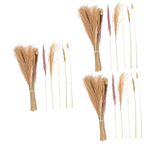 Garneck 150 Peças Decoração De Buquê De Grama De Pampas Pampas Secas Decoração Natural Decoração De