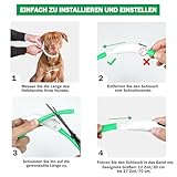Nepfaivy Leuchthalsband Hund USB Aufladbar - Wasserdichtes Hundehalsband Leuchtend mit Verstellbarer Länge, LED Halsband für Hunde mit 4 Beleuchtungsmodi für Sicherheit, Grün