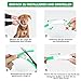 Nepfaivy Leuchthalsband Hund USB Aufladbar - Wasserdichtes Hundehalsband Leuchtend mit Verstellbarer Länge, LED Halsband für Hunde mit 4 Beleuchtungsmodi für Sicherheit, Grün