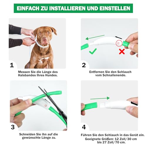 Nepfaivy Leuchthalsband Hund USB Aufladbar - Wasserdichtes Hundehalsband Leuchtend mit Verstellbarer Länge, LED Halsband für Hunde mit 4 Beleuchtungsmodi für Sicherheit, Grün