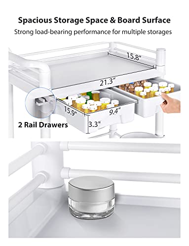 image for Fitnet Medical Trolley 2 Tier 330 Lbs Spacious Beauty Salon Rolling Tr