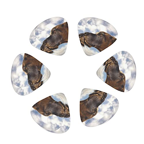 M^[sbN 12 3ނ̌ M^[sbNZbg sbNP[X [{bNXt AR[XeCNM^[ GLM^[ EN }h x[X oW[p Sҗp guitar picki0.46mm0.71mm&0.96mmj ߂ĂO